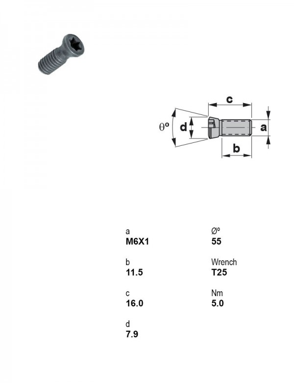Винт Torx M6×1 1260