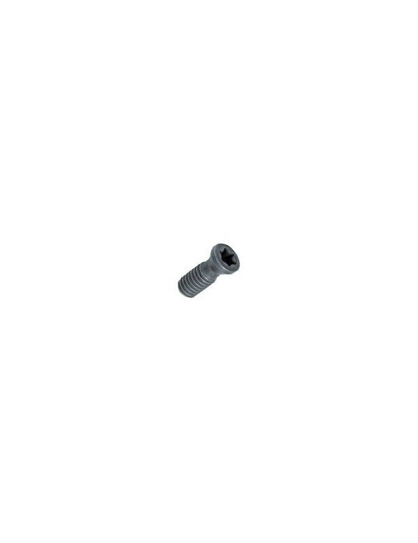 Винт Torx M5×0,8 1350