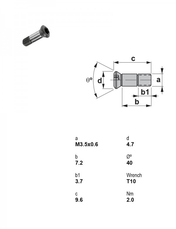 Винт Torx M3,5×0,6 1354