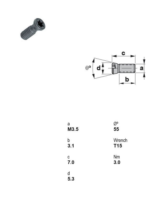 Винт Torx M3,5 1435