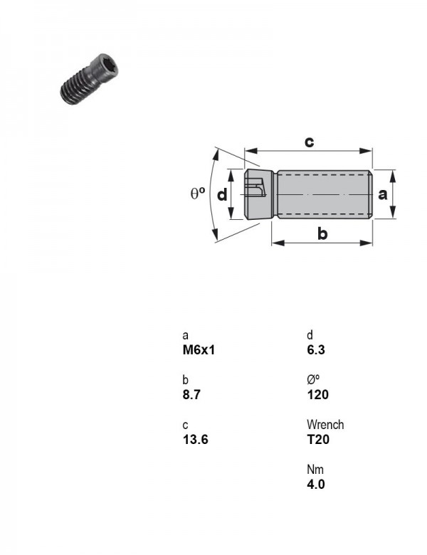 Винт Torx M6×1 1460