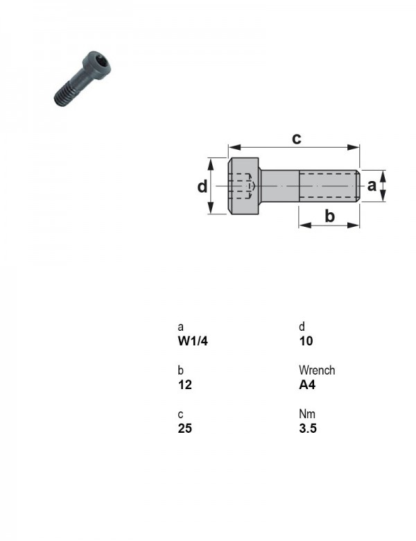 Винт под шестигранник W1/4