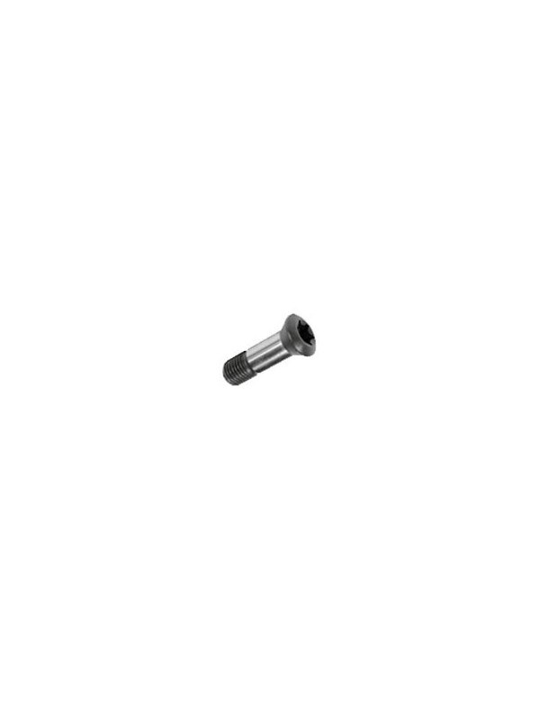 Винт Torx M8×0,75