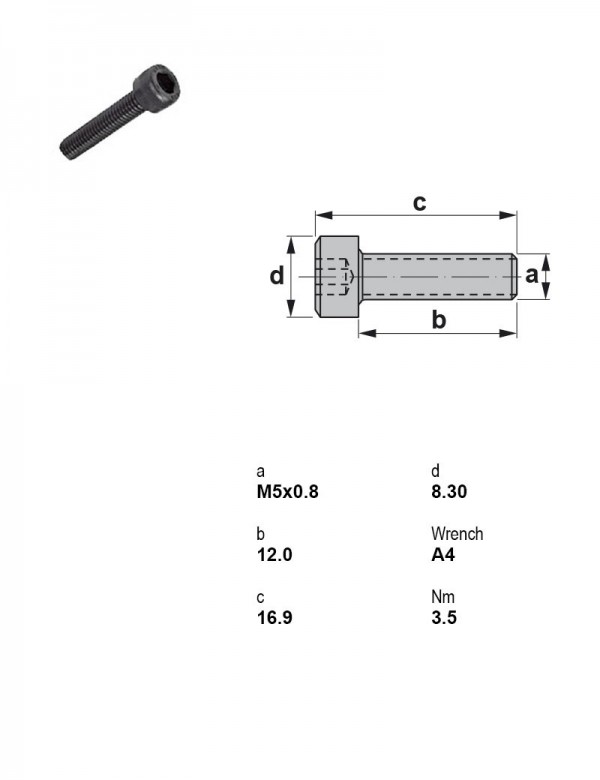 Винт под шестигранник M5×0,8 1905