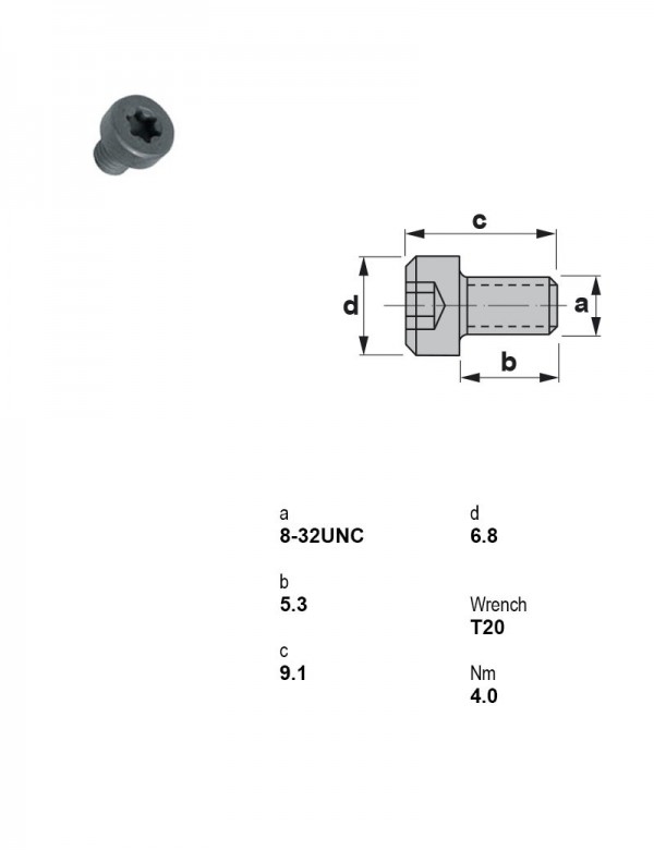 Винт Torx 8-32UNC